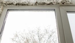 schimmel in huis